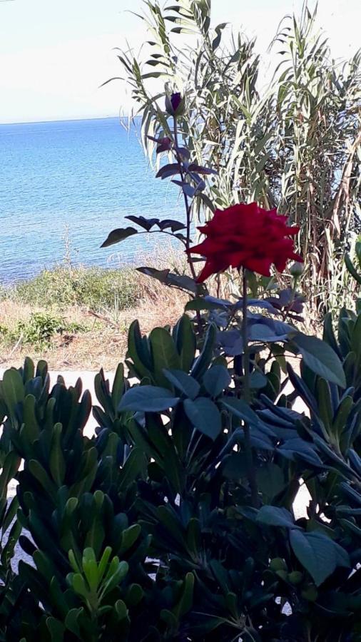 فيلا Covo Dei Marinai Cava dʼAliga المظهر الخارجي الصورة